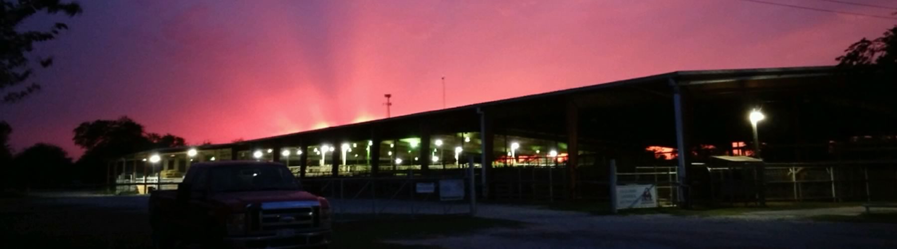 Livestock handling facilities at Gulf Coast Livestock Auction